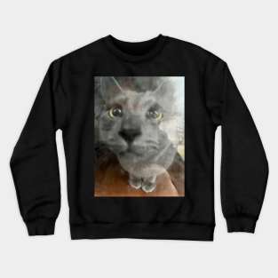 Boo! Kitten Crewneck Sweatshirt